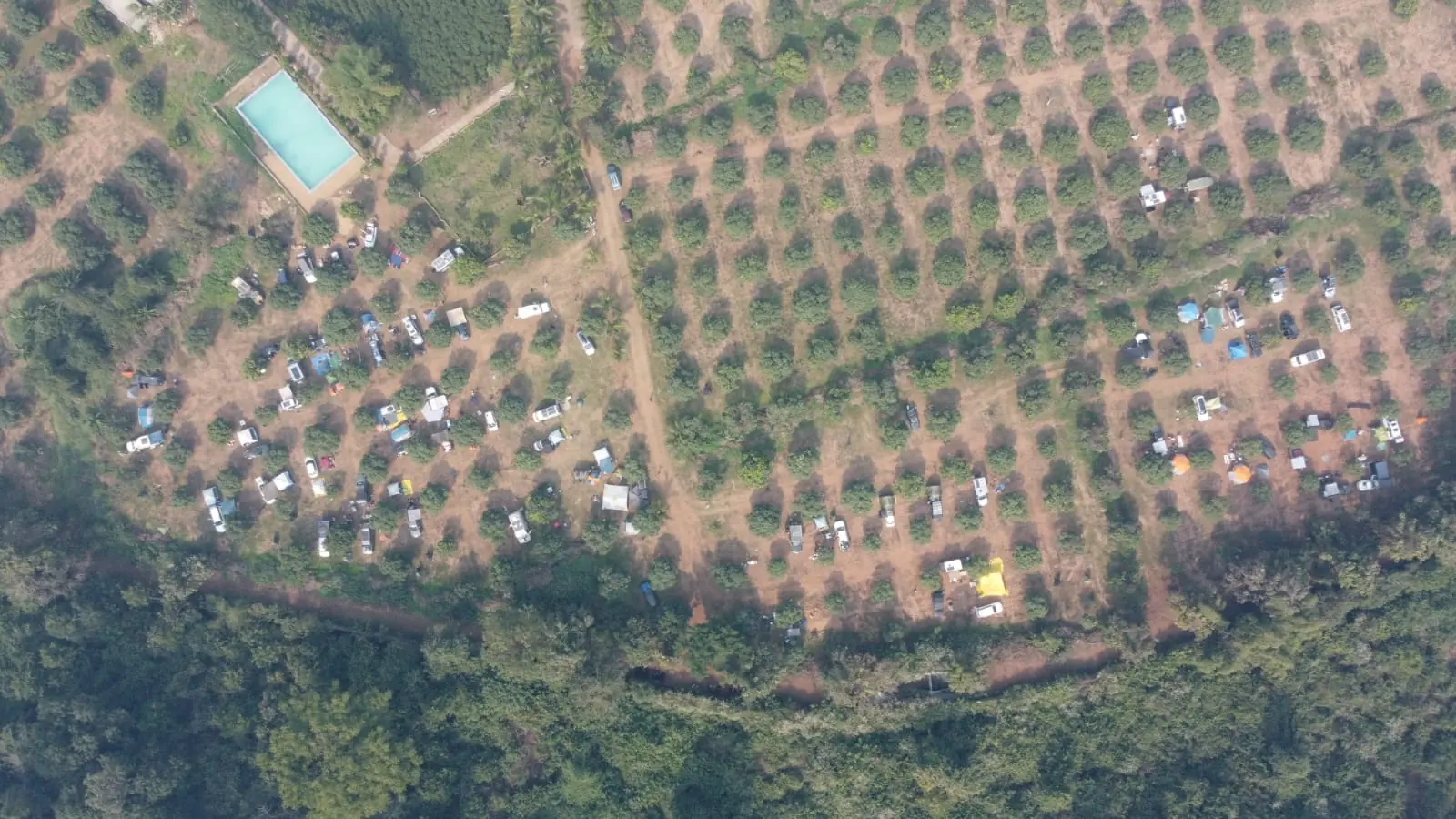 Aerial view of overlander vehicles arranged in an orchard-grid campsite at Sangam 2025